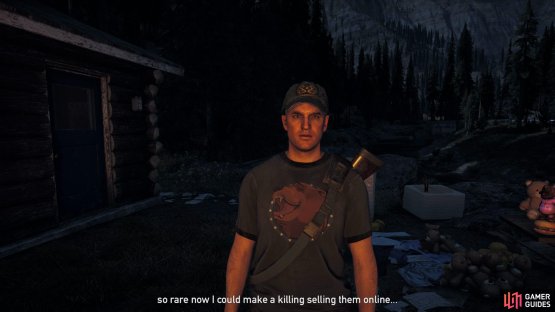 Dave needs help tracking down his merchandise.