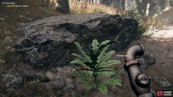 You&rsquo;ll find many crafting ingredients across Hope County