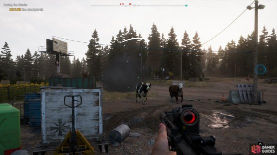 ignore the cattle and prepare for the cultists.