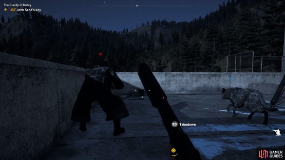 Go for the cultists on the roof first