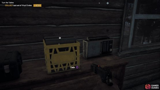 head to the back of the camp to find this Vinyl in the cabin there.