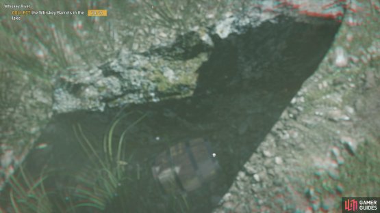 swim down to find this barrel behind a rock.