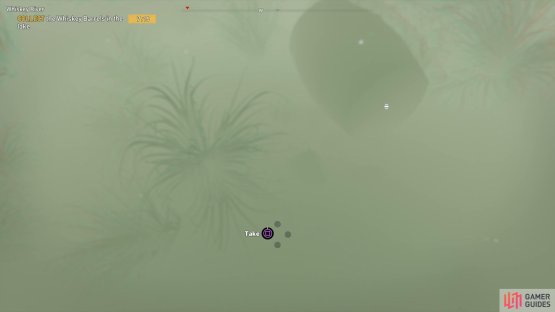 swim through the opening at the top all the way to the bottom to find the barrel.