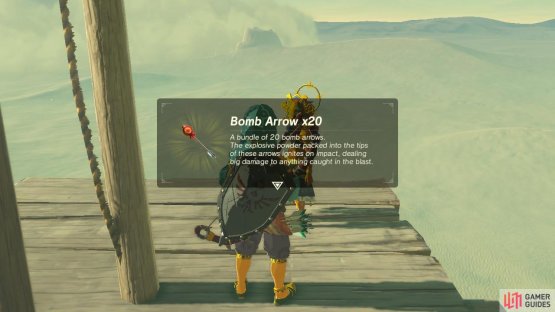 These are the only type of arrow that will hurt Vah Naboris