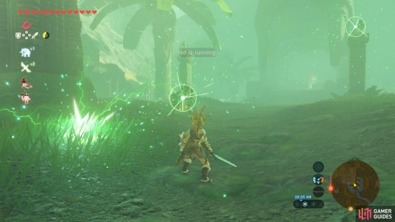 Be wary of the Lizalfos shooting Shock Arrows