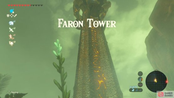 Faron Tower has no bottom platforms