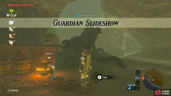 You will need to have fixed your Sheikah Slate at Hateno Village
