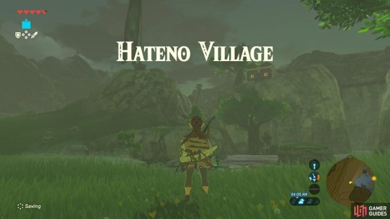 As you can see there are multiple ways to enter Hateno Village