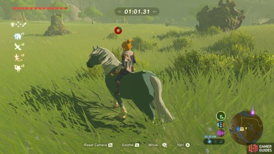 Go out and tame any wild horse you see