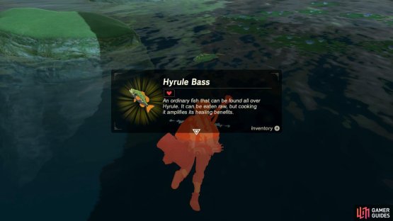 Use your Bombs to kill the fish