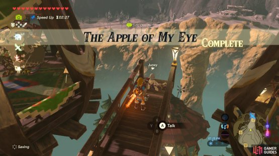 Juney will give you Rupees if you bring her more in the future