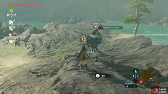 Kass is playing the accordion by the shore