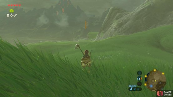 Head north past the shrine in the village