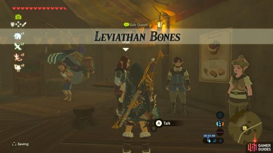 This quest requires you to take photos with your Sheikah Slate