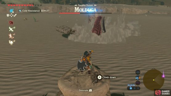 Detonate the bomb as the Molduga throws it up in the air, trying to attack it