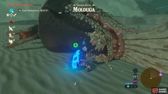 Whack away at the Molduga when it&rsquo;s down, or use a spin attack
