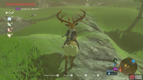 It takes less than one wheel of Stamina to tame a Mountain Buck
