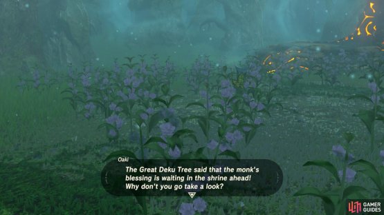 Oaki will show you the Shrine, which you can activate now