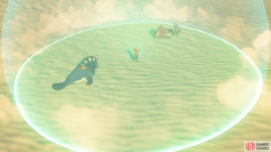 Riju&rsquo;s Thunder Helm will shield you both