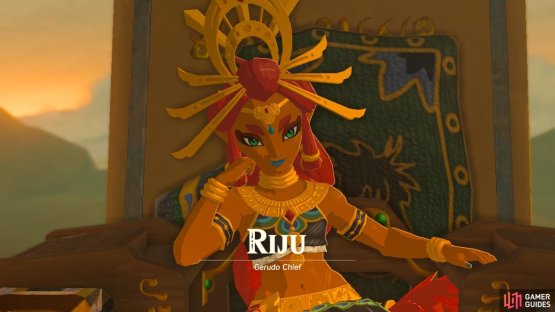 Riju is the current Chief of the Gerudo race