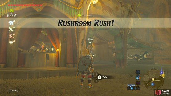 This sidequest is extremely tedious and long