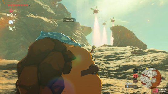 This is the last sentry puzzle