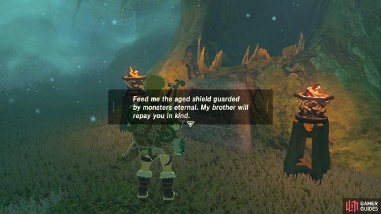 The inscription basically is telling you to drop the shield in the tree&rsquo;s &ldquo;mouth&rdquo;