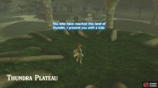 There is a Shrine Quest in this area