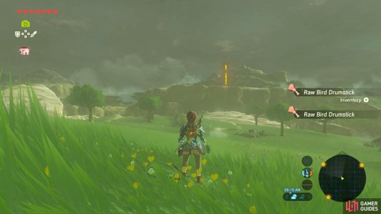 You can see the next tower in the distance