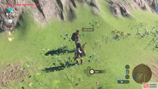 Talk to the male NPC on one side