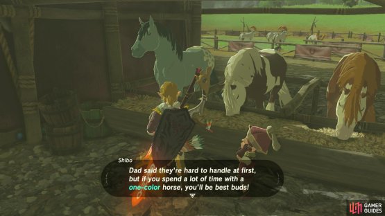 but the wilder, harder to train one color horses are faster and have more stamina.