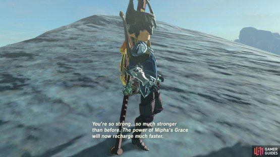 Mipha will call to you and offer an upgrade for Mipha’s Grace