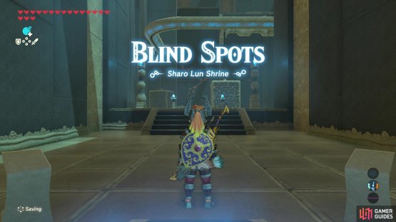 and its titled &lsquo;Blind Spots&rsquo;.