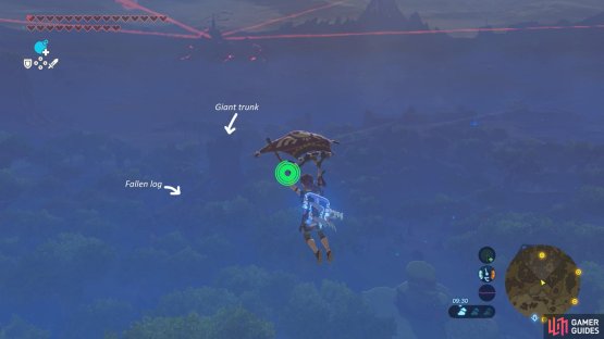 Glide north towards the massive tree trunk.