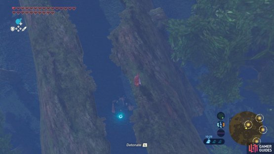 Next, deal with the Blue Bokoblin patrolling the innards of the fallen log.