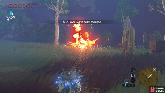 Last but not least, there are two Bokoblin hiding near the back.