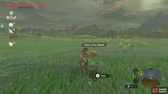 You can find loads by searching the wetlands.