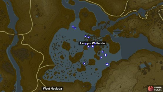 Fleet-Lotus Seeds in the Lanayru Wetlands.