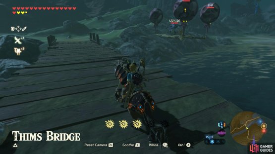 A well equipped Lizalfos is guarding Thims Bridge.
