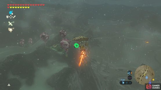 You might as well glide from atop Hebra Tower.