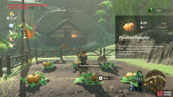 Head to Olkin&rsquo;s pumpkin farm to buy them from him