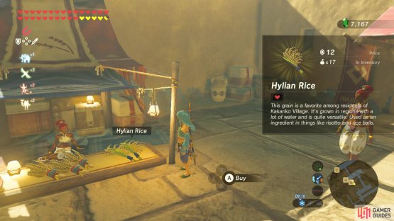 The general store in Gerudo Town.
