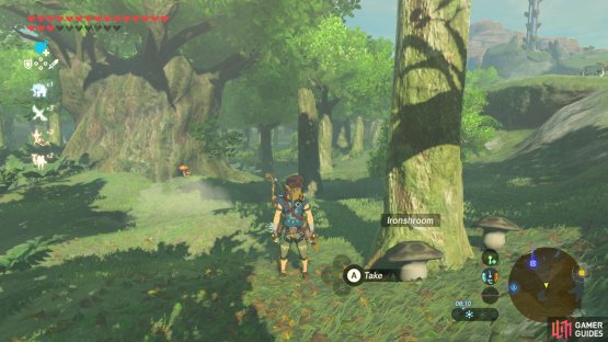 There are over a dozen Ironshrooms here.