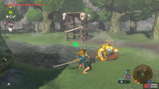 A Golden Bokoblin isn&rsquo;t too scary.