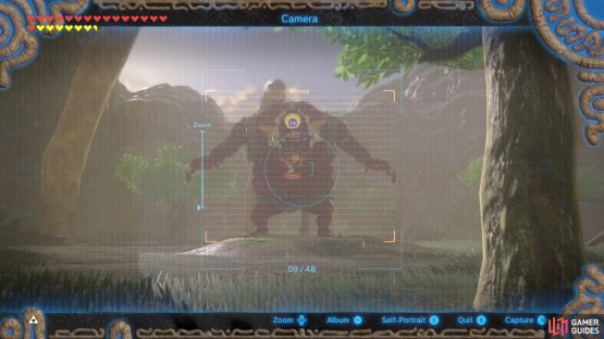 You could take pictures of the Hinox&rsquo;s older brothers while you&rsquo;re here.
