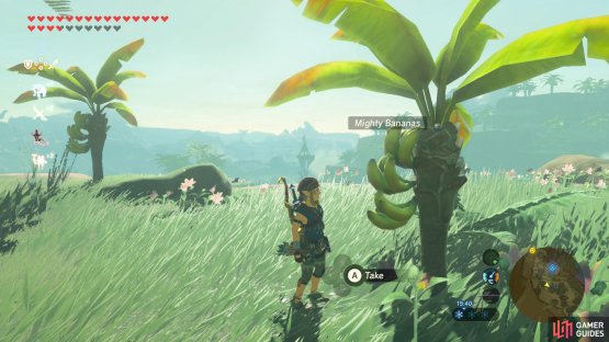 You may need to do a fair bit of climbing to find the &rsquo;nanas.