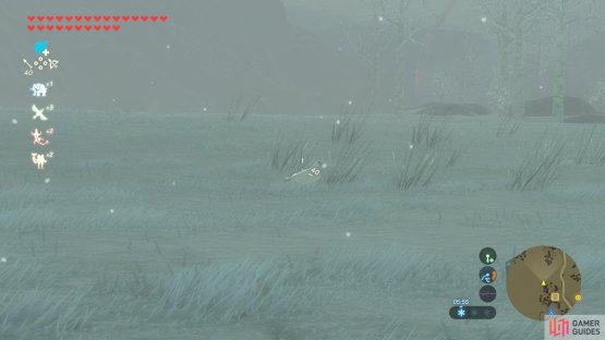 White Pigeons can be annoying to hunt and they are restricted to one item drop.