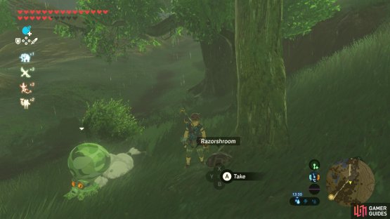 Then search the base of the trees at the side of the road.