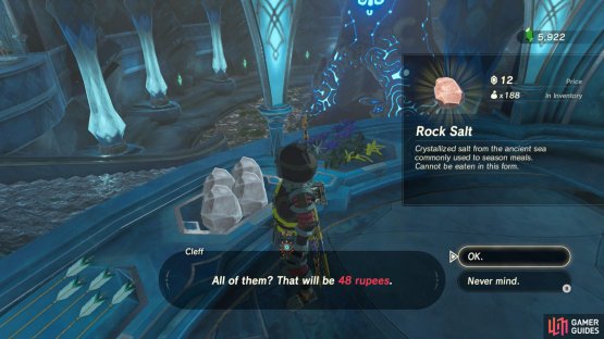 This shop sells 4 lumps of Rock Salt.