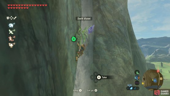 The area around Rito Village has many cliffs, which means many Swift Violets.